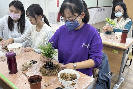 水苔與蕨類植物的美學融合 南大課程帶來全新藝術體驗