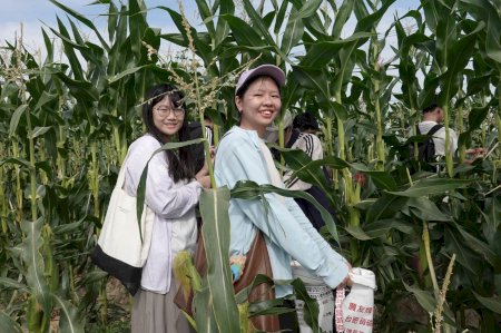 從課堂走進田間 南大經管系以地方實作打造永續管理行動課