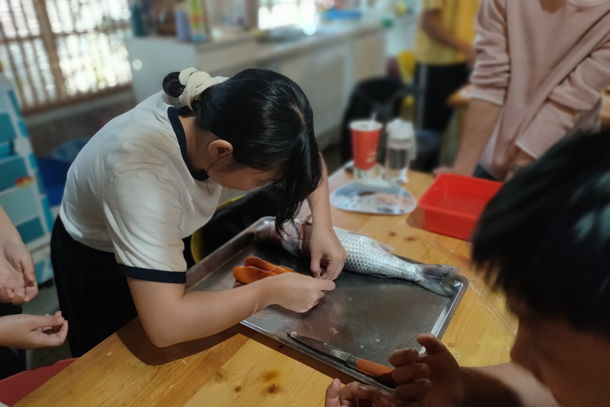 用棉線將取出的烏魚卵前端綁緊,固定形狀並利於後續製作,南大師生實地體驗烏魚子傳統工序。