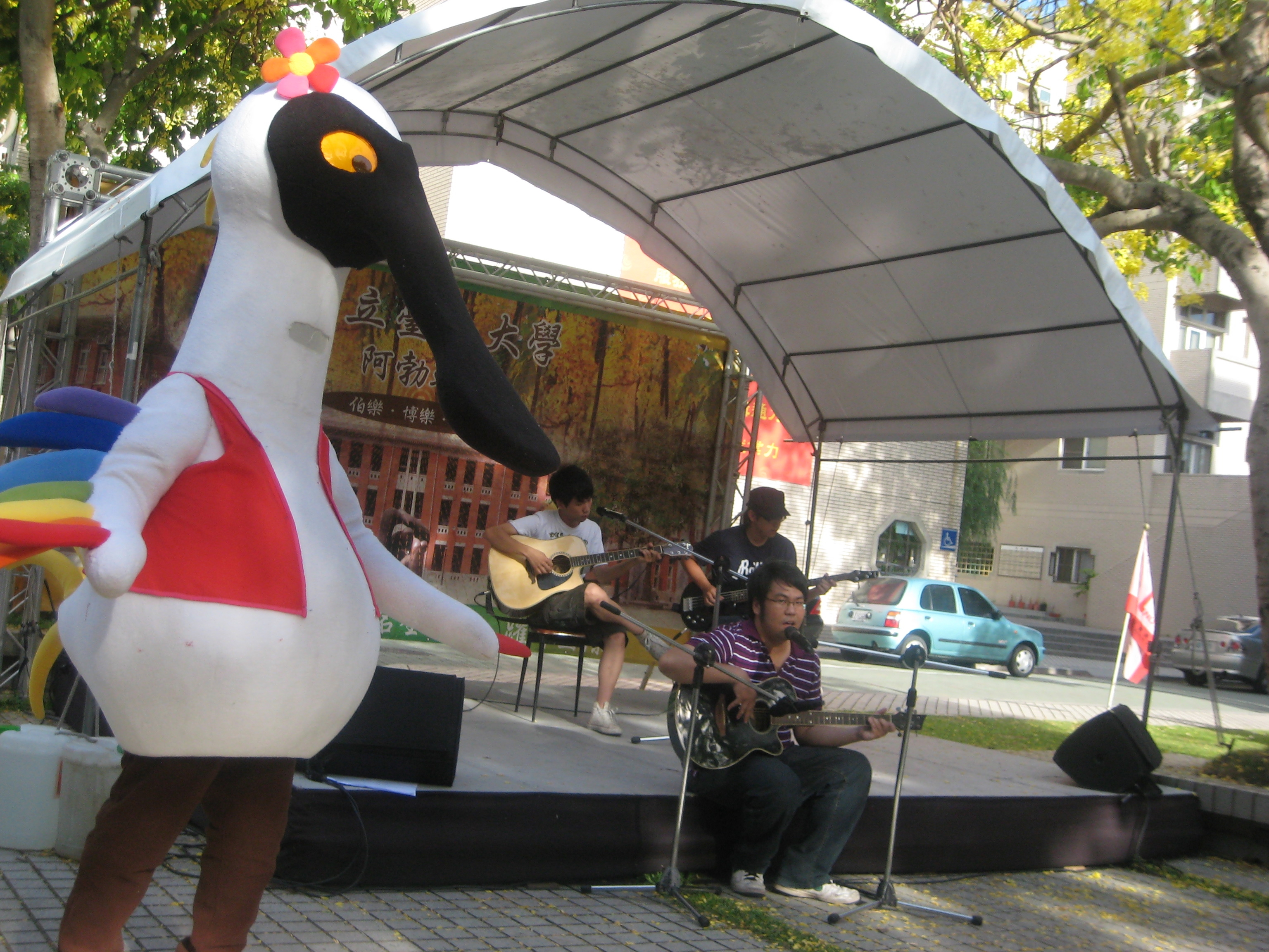黃金雨中的異國風采(2011.6.10)